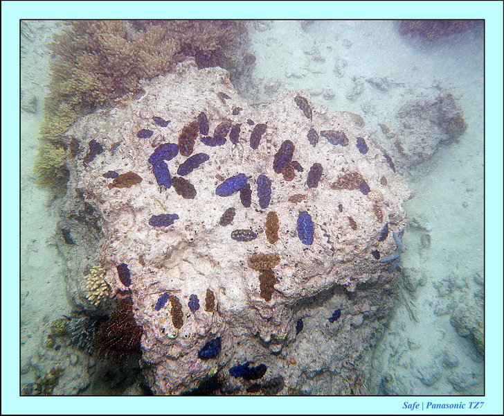 2011 - 08 - Bohey Dulang Island 47